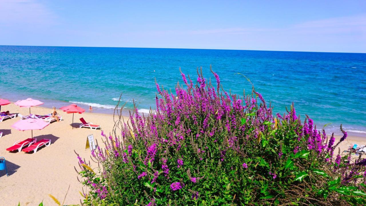 Byala Vista Beach Apartments D - Бяла Виста Бийч Апартментс Д Exteriör bild
